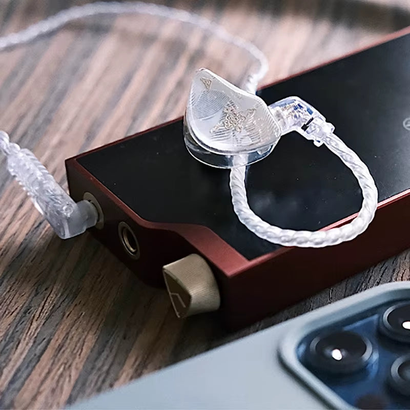 TANGZU WAN ER SG Hifi 10Mm Dual Cavity Dynamic Driver IEM in Ear Earphone Detachable 0.78Mm 2Pin Music Bass Vocal